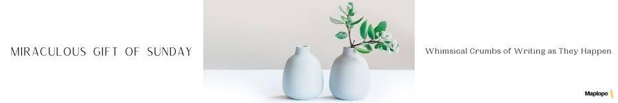 More Miraculous Gift of Sunday Banner, MAPLOPO