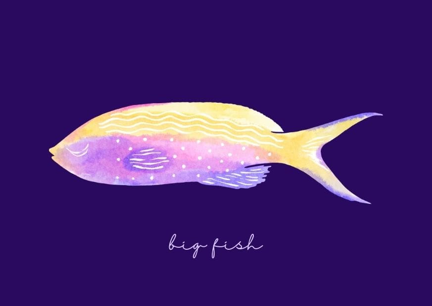 BIG FISH