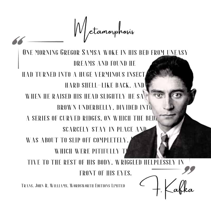 Metamorphosis, F. Kafka, Maplopo